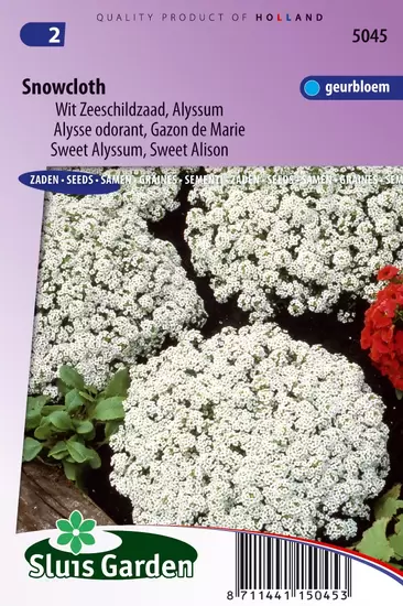 Schildzaad Sneeuwkleed (Alyssum)