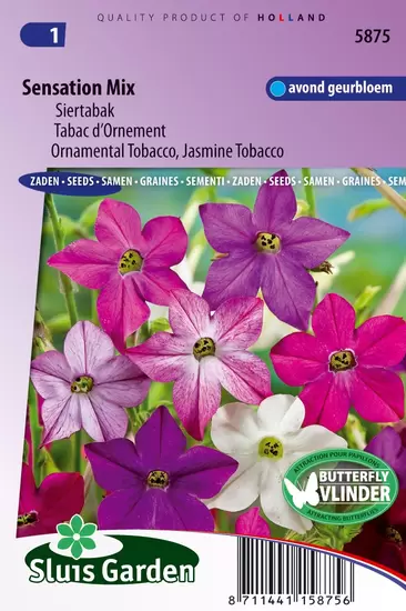 Siertabak Sensation mix (Nicotiana)