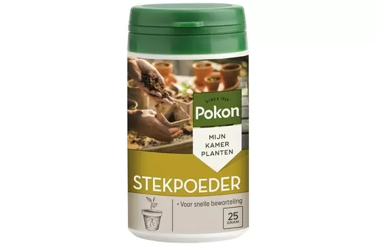 Stekpoeder rhizoph 25g