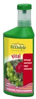 Vital concentraat 250 ml