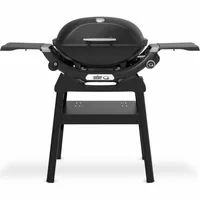 Weber q 2200n met stand - afbeelding 1