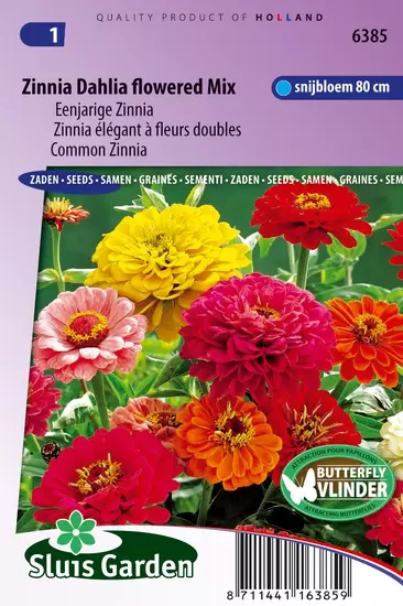 Zinnia Dahlia flowered Mix
