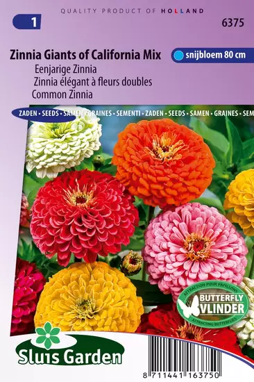 Zinnia Reuzen van California Mix